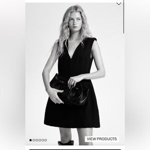 NWOT H&M V Neck Structured Dress